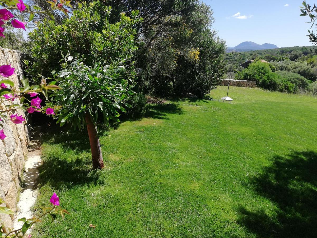 La Sima Villa Con Piscina Vista Mare San Pantaleo Sardegna エクステリア 写真
